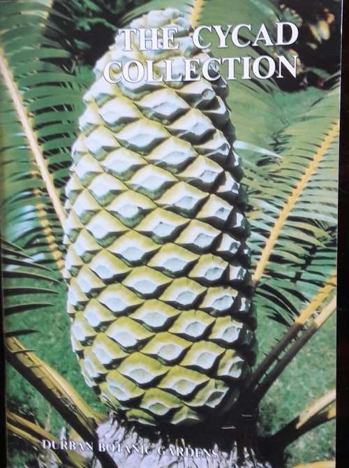 Natural Science The Cycad Collection Durban Botanic Gardens for